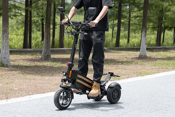 BESTRIDE PRO W2 城市轻骑
